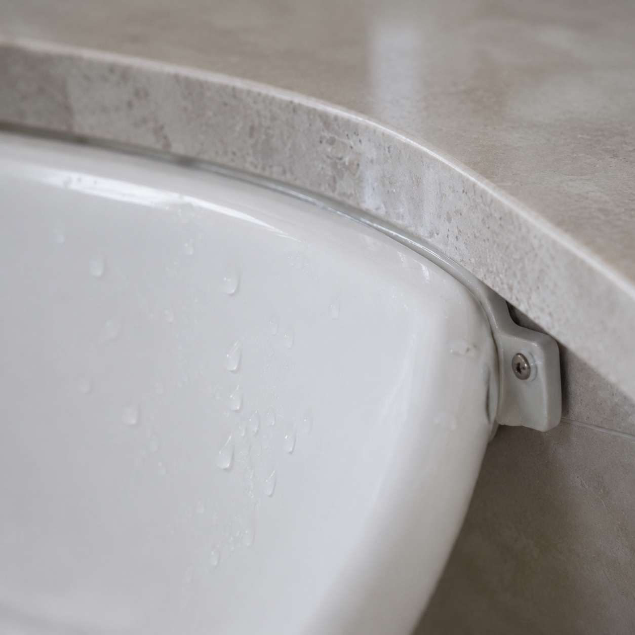 Close-up of an undermount ceramic basin sealed to the polished cutout edge under a quartz countertop